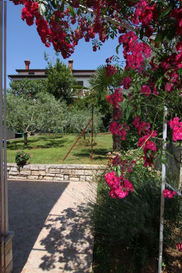 Apartments Darinka Poreč Eksteriør bilde